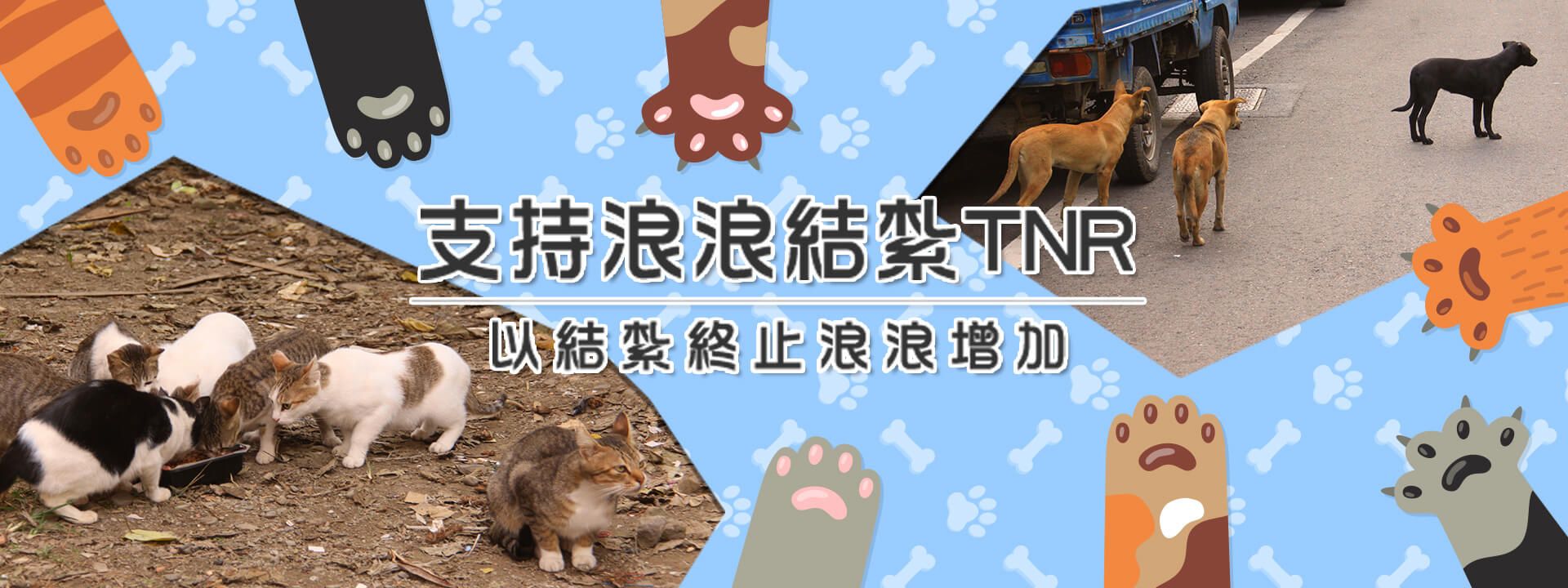 支持浪浪結紮TNR